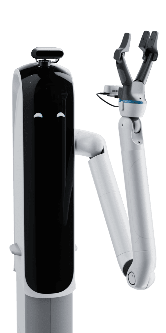 Bot Handy - Primary User